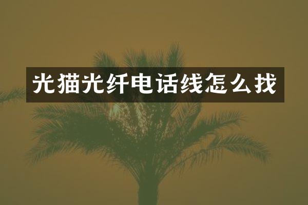 光猫光纤电话线怎么找