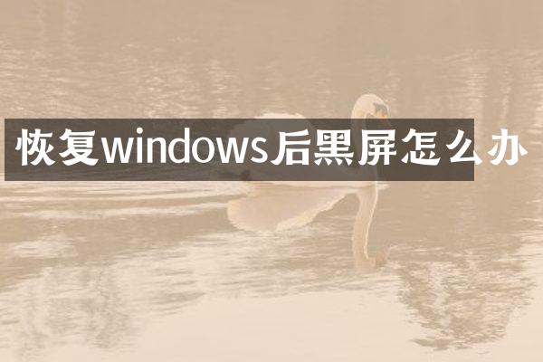 恢复windows后黑屏怎么办