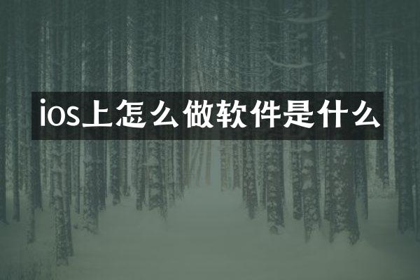 ios上怎么做软件是什么