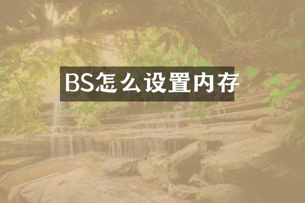 BS怎么设置内存