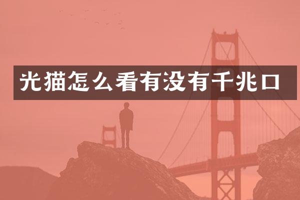 光猫怎么看有没有千兆口