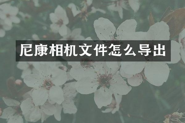 尼康相机文件怎么导出