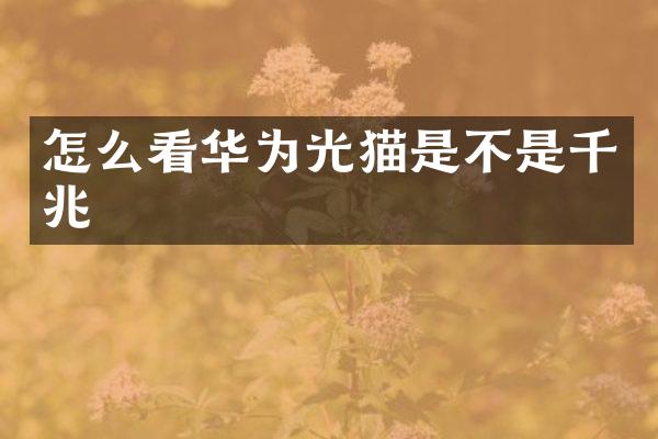 怎么看华为光猫是不是千兆