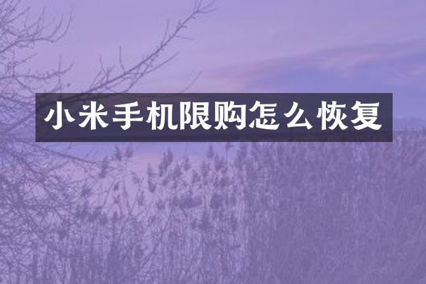 小米手机限购怎么恢复