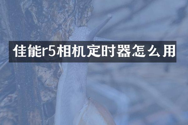 佳能r5相机定时器怎么用