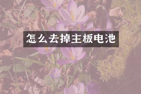 怎么去掉主板电池