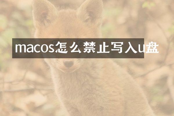 macos怎么禁止写入u盘
