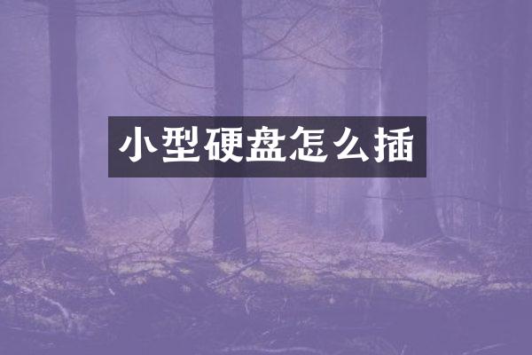 小型硬盘怎么插
