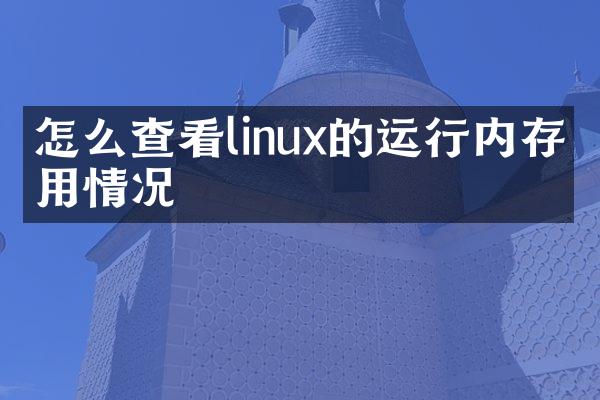 怎么查看linux的运行内存使用情况
