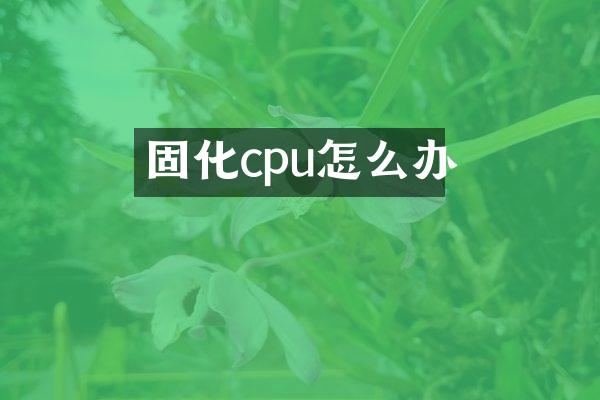 固化cpu怎么办