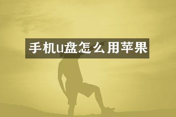 手机u盘怎么用苹果