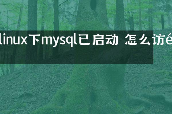 linux下mysql已启动 怎么访问