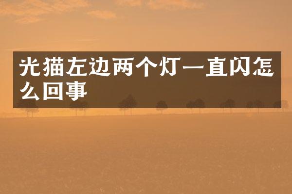 光猫左边两个灯一直闪怎么回事