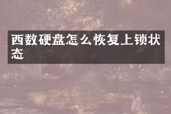 西数硬盘怎么恢复上锁状态