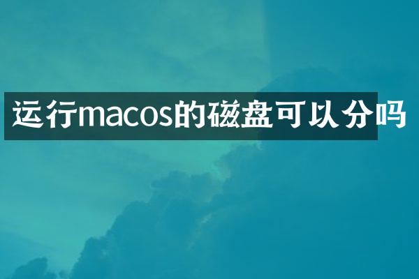 运行macos的磁盘可以分吗