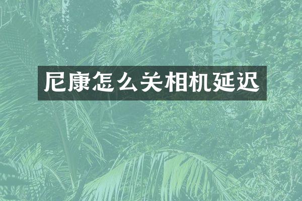 尼康怎么关相机延迟