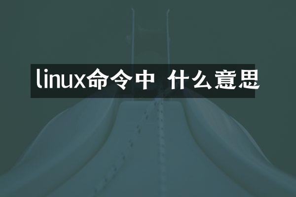 linux命令中 什么意思