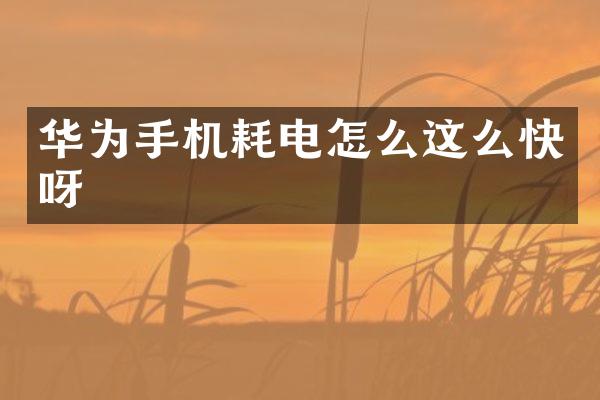 华为手机耗电怎么这么快呀