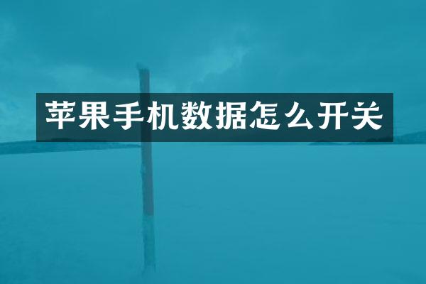 苹果手机数据怎么开关