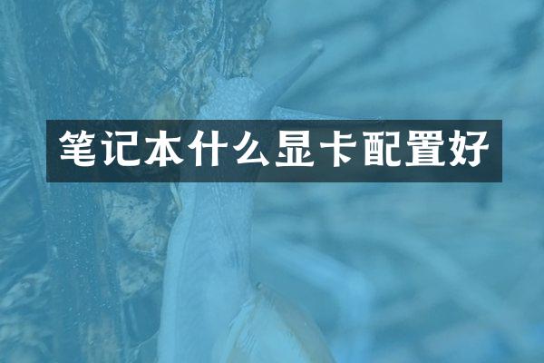 笔记本什么显卡配置好