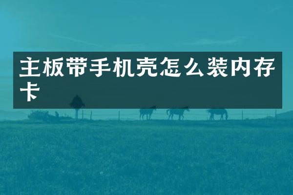 主板带手机壳怎么装内存卡