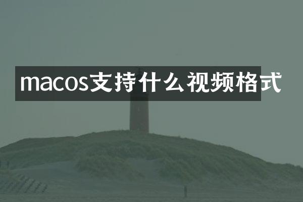 macos支持什么视频格式