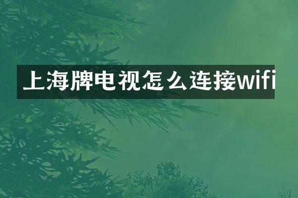 上海牌电视怎么连接wifi