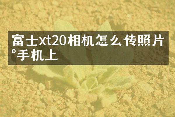 富士xt20相机怎么传照片到手机上