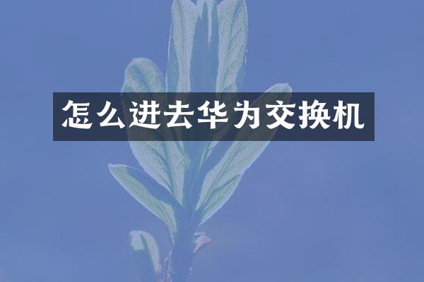 怎么进去华为交换机