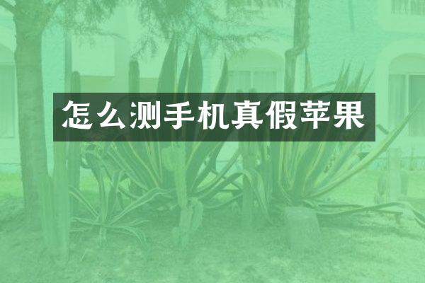 怎么测手机真假苹果