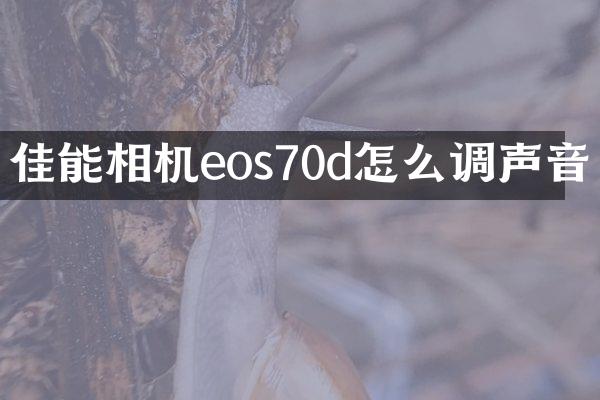 佳能相机eos70d怎么调声音