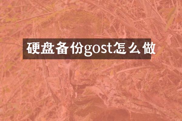 硬盘备份gost怎么做