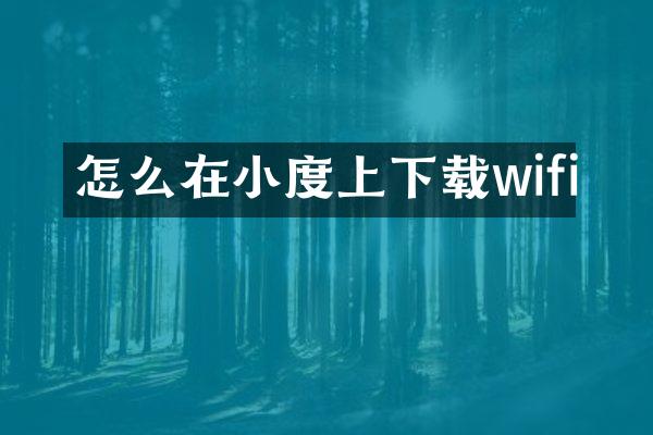 怎么在小度上下载wifi