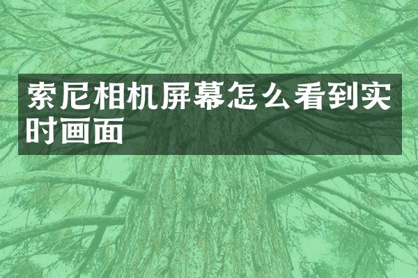 索尼相机屏幕怎么看到实时画面