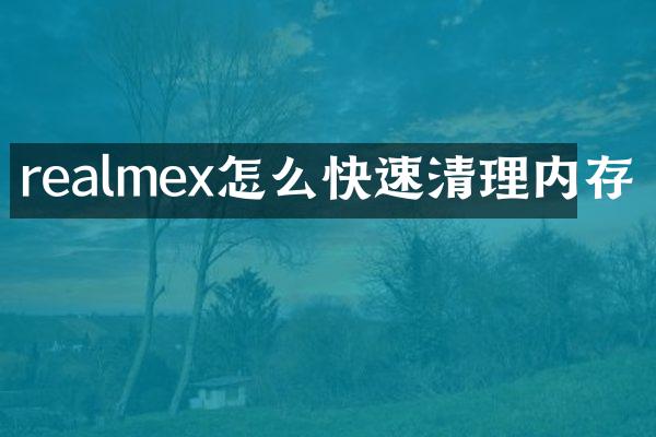 realmex怎么快速清理内存