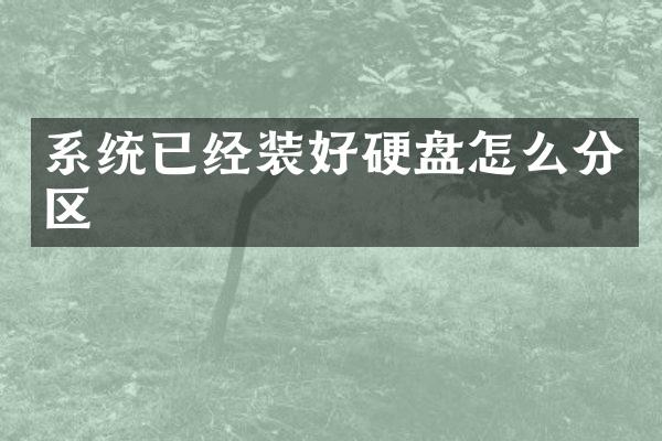 系统已经装好硬盘怎么分区