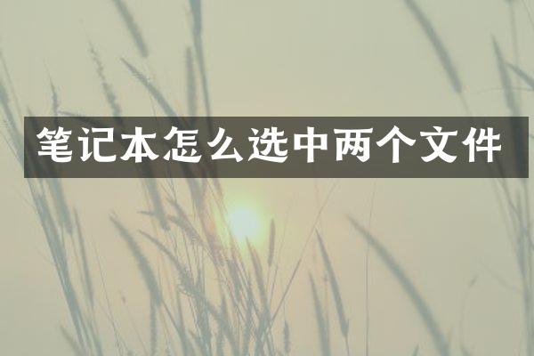 笔记本怎么选中两个文件