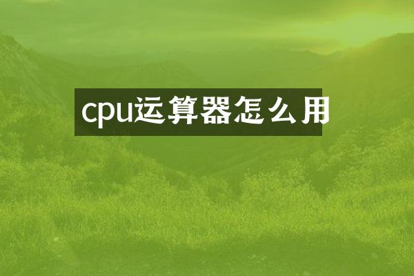 cpu运算器怎么用
