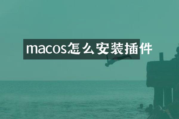 macos怎么安装插件