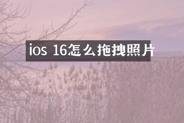 ios 16怎么拖拽照片