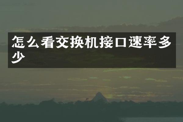 怎么看交换机接口速率多少