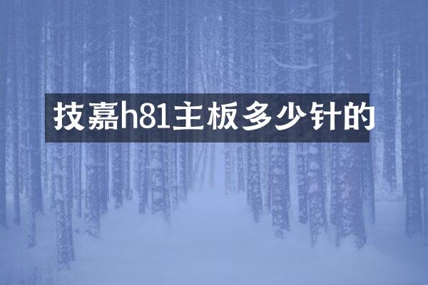技嘉h81主板多少针的