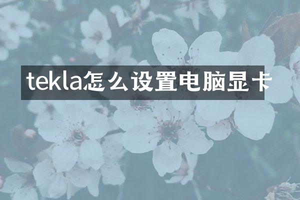 tekla怎么设置电脑显卡
