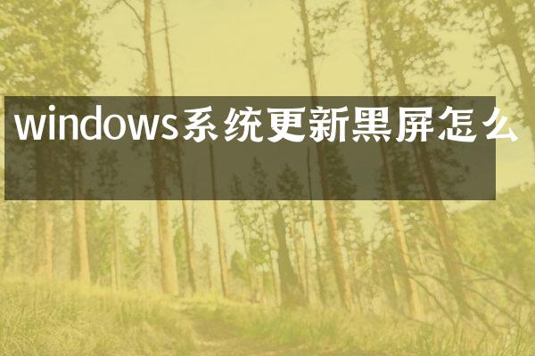 windows系统更新黑屏怎么办