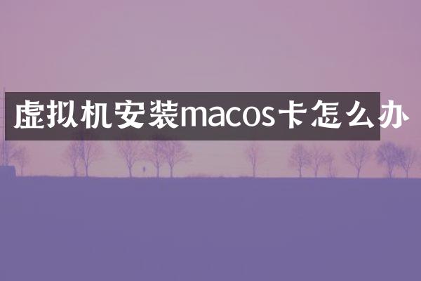 虚拟机安装macos卡怎么办