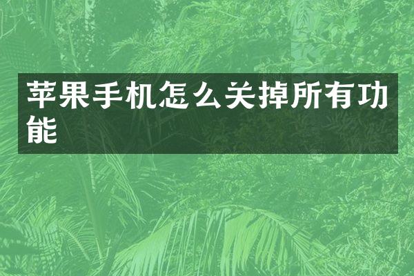 苹果手机怎么关掉所有功能