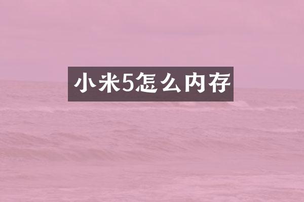 小米5怎么内存