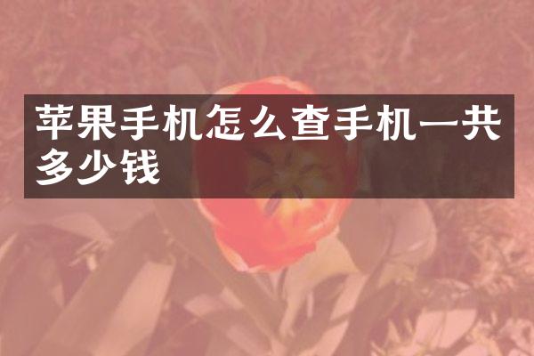 苹果手机怎么查手机一共多少钱