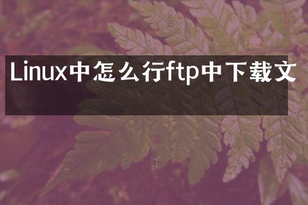 Linux中怎么行ftp中下载文件