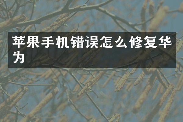 苹果手机错误怎么修复华为